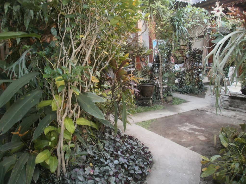 أوبود Alamanda Accomodation المظهر الخارجي الصورة